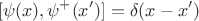 $$
[\psi(x),\psi^+(x')]=\delta(x-x')
$$