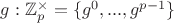 $g: \mathbb{Z}_p^\times=\{g^0, ..., g^{p-1}\}$