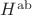 $H^{\rm ab}$