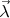 $\vec{\lambda }$