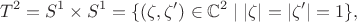 $$
T^2 = S^1 \times S^1 = \{ (\zeta,\zeta') \in \mathbb C^2 \mid |\zeta| = |\zeta'| = 1 \},
$$