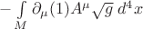 $-\int \limits_M \partial_\mu(1) A^\mu \sqrt{g}\; d^4 x$