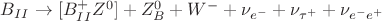 $B_{II} \to [B^+_{II}Z^0] + Z_B^{0} + W^- + \nu_{e^-} + \nu_{\tau^+} + \nu_{e^-e^+}$