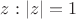 $z : |z| = 1$