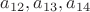 $a_{12}, a_{13}, a_{14}$