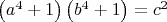 $\[
\left( {a^4  + 1} \right)\left( {b^4  + 1} \right) = c^2 
\]$