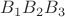 $B_1B_2B_3$