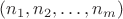 $(n_1, n_2, \ldots, n_m)$