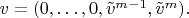 $v=(0,\ldots,0,\tilde v^{m-1},\tilde v^m).$