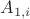 $A_{1,i}$
