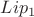 $Lip_1$