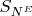 $S_{N^E}$