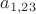 $a_{1, 23}$