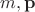 $m,\mathbf p$