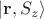 $|\mathbf r, S_z\rangle$