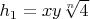 $h_1=x y \sqrt[n] {4}$