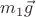 $m_1 \vec{g}$