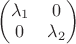 $\begin{pmatrix}  \lambda_1 & 0\\ 0 & \lambda_2 \end{pmatrix}$
