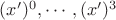 $(x')^0, \cdots, (x')^3$