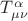 $T^{\alpha}_{\mu \nu}$