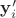 $\mathbf y'_i$