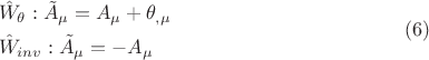 $$\begin{gathered}  \hat W_\theta  :\tilde A_\mu   = A_\mu   + \theta _{,\mu }  \hfill \\  \hat W_{inv} :\tilde A_\mu   =  - A_\mu   \hfill \\ \end{gathered} \eqno (6)$$