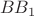\[BB_1 \]