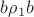 $b\rho_1 b$