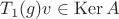 $T_1(g)v\in \operatorname{Ker} A$