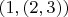 $(1,(2,3))$