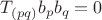 $T_{(pq)}b_pb_q=0$