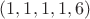 $(1,1,1,1,6)$