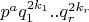 $p^aq_1^{2k_1}..q_r^{2k_r}$