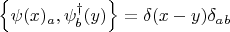 $\left\lbrace\psi(x)_a, \psi^{\dagger}_b(y) \right\rbrace= \delta(x-y)\delta_a_b$