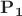 $\mathbf{P_1}$