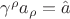 $\gamma^{\rho} a_{\rho} = \hat{a}$