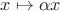 $x \mapsto \alpha x$