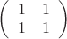 $\left(
 \begin {array} {ccc}
1 & 1\\
1 & 1\\
\end {array}
\right)$