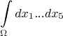 $$\int\limits_{\Omega}dx_{1}...dx_{5}$$