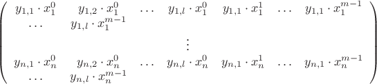 $\left(\begin{array}{ccccccc}
y_{1,1} \cdot x_1^0 & y_{1,2} \cdot x_1^0 & \ldots & y_{1,l} \cdot x_1^0 & y_{1,1} \cdot x_1^1 & \ldots & y_{1,1} \cdot x_1^{m-1} & \ldots & y_{1,l} \cdot x_1^{m-1}    \\
&&&\vdots&& \\
y_{n,1} \cdot x_n^0 & y_{n,2} \cdot x_n^0 & \ldots & y_{n,l} \cdot x_n^0 & y_{n,1} \cdot x_n^1 & \ldots & y_{n,1} \cdot x_n^{m-1} & \ldots & y_{n,l} \cdot x_n^{m-1}
\end{array}\right)
$