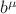 $ b^\mu$ $ b^\mu$