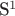 S^1