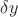 $\delta y $