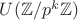 $U(\mathbb{Z}/p^k \mathbb{Z})$