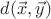 $d(\vec x,\vec y)$