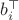 $b^\top_i$