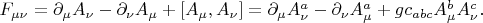 $F_{\mu\nu}=\partial_\mu A_\nu-\partial_\nu A_\mu+[A_\mu,A_\nu]=\partial_\mu A^a_\nu-\partial_\nu A^a_\mu+gc_{abc}A^b_\mu A^c_\nu.$