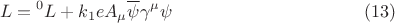 $$ L = {{}^0 L} + k_1 e A_{\mu} \overline{\psi} \gamma^{\mu} \psi \eqno{(13)}$$