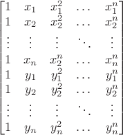 $$\begin{bmatrix} 
1 & x_1 & x_1^2 & \dots & x_1^n\\
1 & x_2 & x_2^2 & \dots & x_2^n\\
\vdots & \vdots & \vdots & \ddots & \vdots\\
1 & x_n & x_2^n & \dots & x_n^n\\
1 & y_1 & y_1^2 & \dots & y_1^n\\
1 & y_2 & y_2^2 & \dots & y_2^n\\
\vdots & \vdots & \vdots & \ddots & \vdots\\
1 & y_n & y_n^2 & \dots & y_n^n
\end{bmatrix}
$$