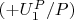 $(+U_1^P/P)$